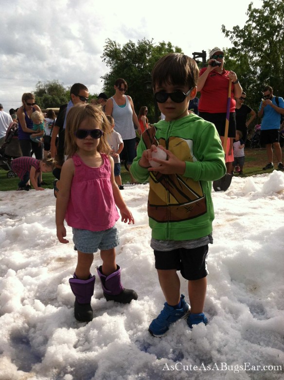 blizzard-at-the-phoenix-zoo