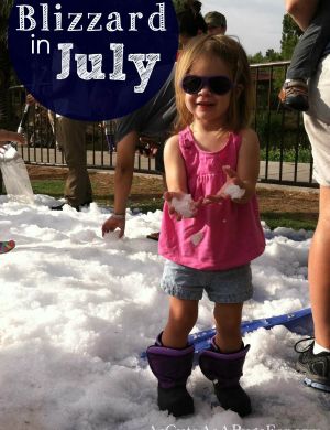 pure-joy-blizzard-at-the-phoenix-zoo