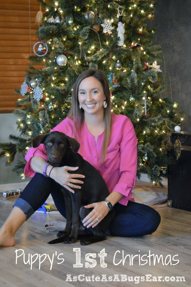 Puppy's First Christmas