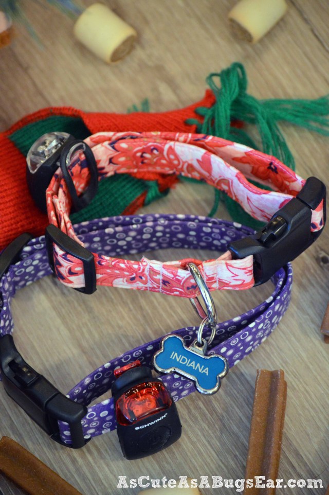 Stocking-Stuffer-Ideas-For-Dogs